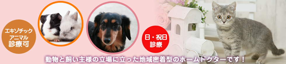 陶の里動物病院
